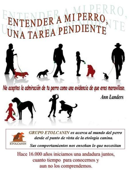 Seminario Etologia,Adiestramiento,Educación Canina ETOLCANIN