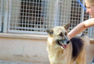 Adopta a Arturo