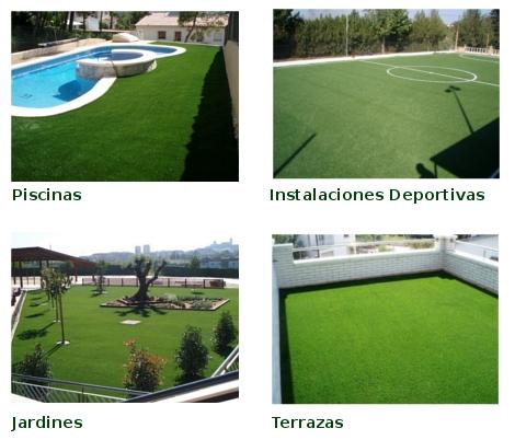 limpieza terrenos corbella 663-683-536 girona forestales jardineros venta palmeras