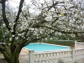 Villa : 6/6 personas - piscina - uzes  gard  languedoc-rosellon  francia