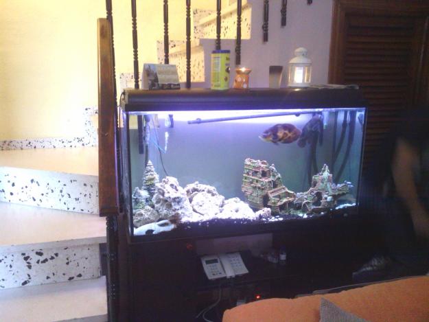 Acuario 300l