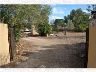 Finca/Casa Rural en venta en Llucmajor, Mallorca (Balearic Islands)