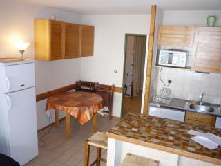 Apartamento : 6/8 personas - a pie de pistas - la joue du loup  altos alpes  provenza-alpes-costa azul  francia