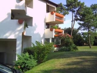 Apartamento : 2/4 personas - anglet  pirineos atlanticos  aquitania  francia