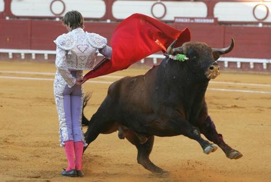 Toros Feria Jerez