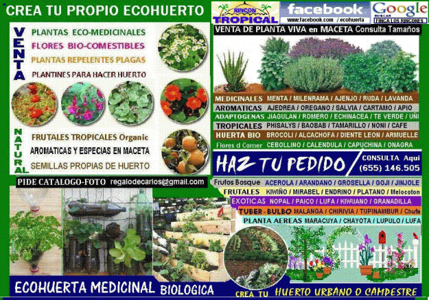 plantas y frutales del mundo dispongo de plantin y semilla