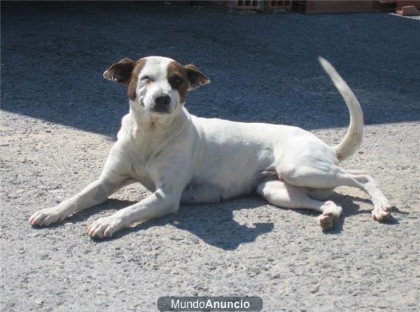 Betty esta tuertita por una paliza corre riesgo de morir en la calle