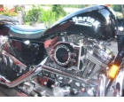 HARLEY DAVIDSON XL 1200 C SPORTSTER CUSTOM - mejor precio | unprecio.es