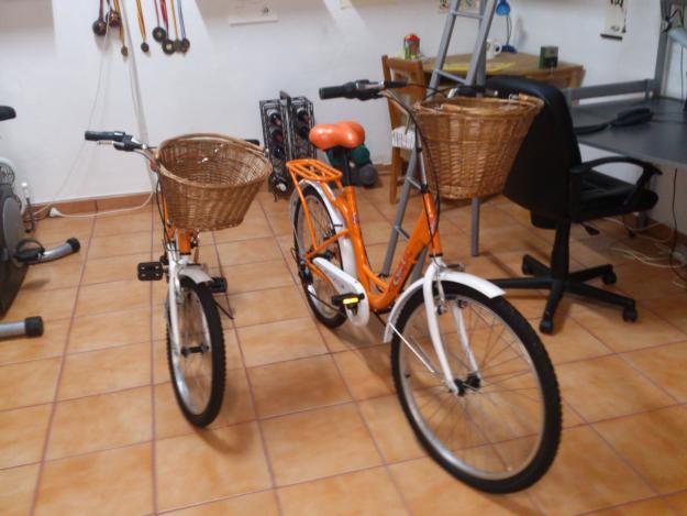 Pareja de bicicletas de paseo