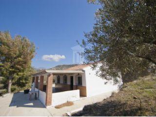 Finca/Casa Rural en venta en Torrox, Málaga (Costa del Sol)